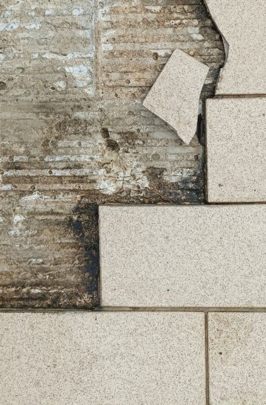 Damaged Tile Replacement detail